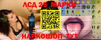 дживик Новозыбков