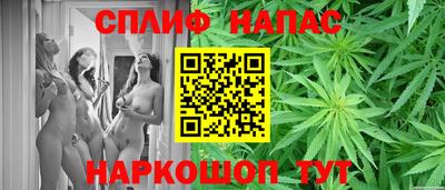 дживик Новозыбков