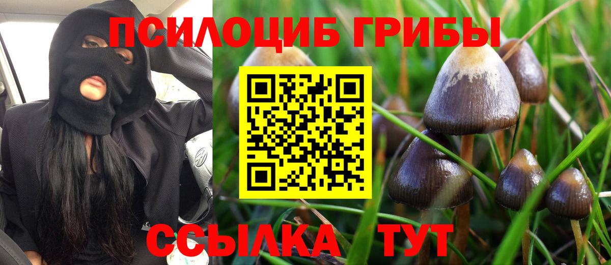 Соликамск  как найти наркотики  Вход с VPN  Псилоцибиновые грибы мухоморы 
